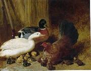 unknow artist, Poultry 086